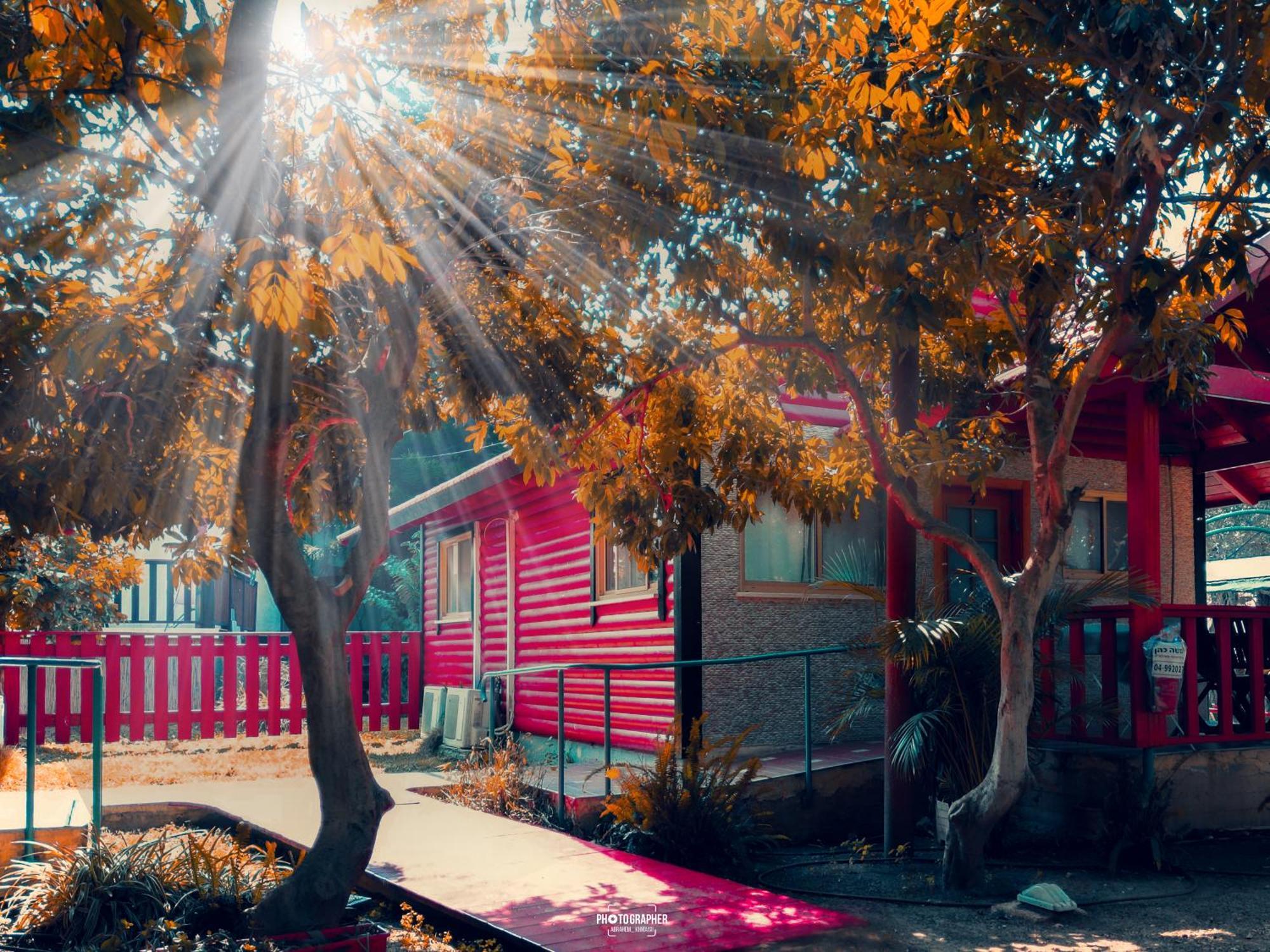 The Wooden Rose Cabins Bezet Oda fotoğraf